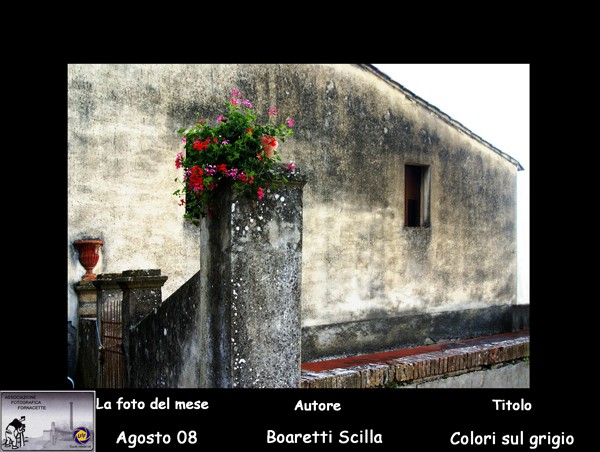 N° (8)  Foto del Mese (Agosto 08) Autore Boaretti Scilla TitoloColori sul grigio.jpg